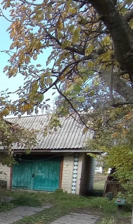 Продам участок з господарчою будівлею в м. Борзна - фото 1