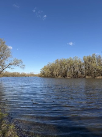 Дача біля ДЕСНИ Продаж Жавинка - фото 1