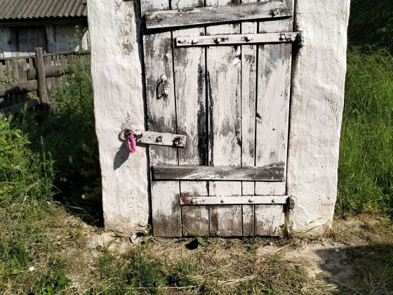 Будинок з ділянкою 40 сотих Борзна