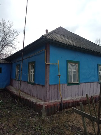 Помешкання в центрі селища Олишівка. - фото 1