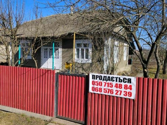 Господарство у селі Новоселиця. Новоселиця