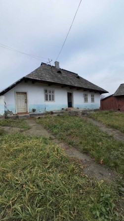 Продається 25 соток та стареньке господарство в селі Молодія - фото 1
