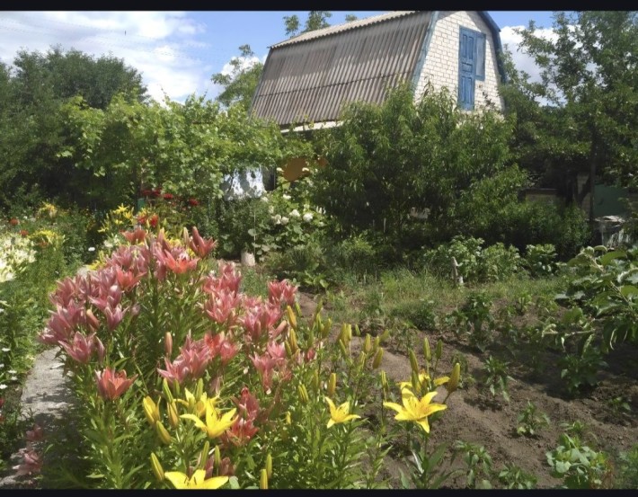 Продам дачу. Дачна ділянка. - фото 1