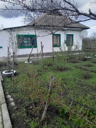 Дім з  двома кімнатами. - фото 1