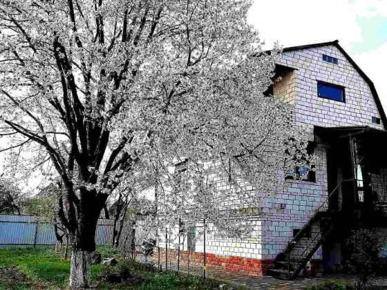 Продаєтся дача в кооперативі Авіатор.Біла Церква Белая Церковь