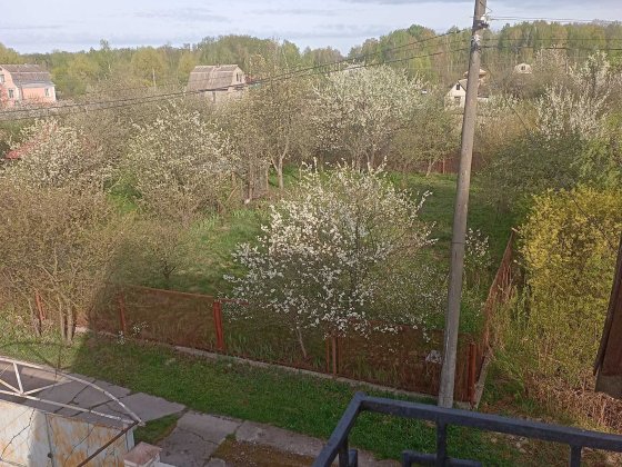 Продам дачу в кооператив берізка Бровари