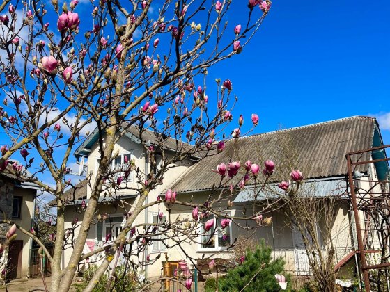 Продається будинок. Опришівці. Місто Ділянка 20 сот. Свердловина. Міські комунікації. Під будівництв Ивано-Франковск