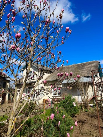 Продається будинок. Опришівці. Місто Ділянка 20 сот. Свердловина. Міські комунікації. Під будівництв - фото 1