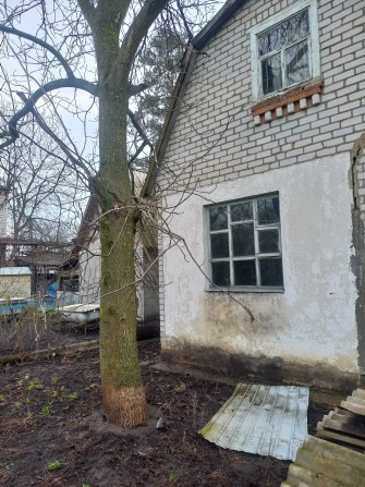 Дача в селі Щербаки - фото 1