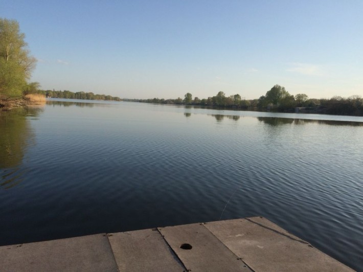 Продам дачу біля води | Власівка, кооператив «Дніпро» | власний причал - фото 1
