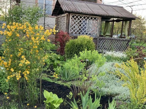 Продается дача с 2х эт.домом 6 соток, Долгинцево Кривой Рог