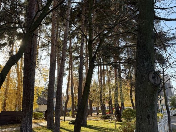 Продаж тауну біля ЦЕНТРАЛЬНОГО парку. Виїзд в Київ. Інфраструктура уся Ирпень