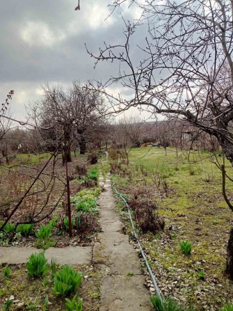 Продам дачу . Срочно - фото 1