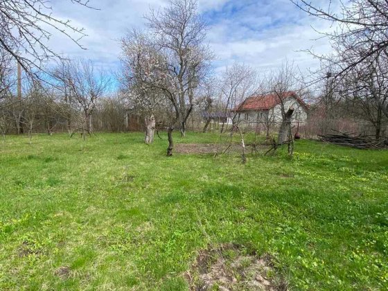 Затишна дачна ділянка з садом- ідеальне місце для відпочинку та врожаю Полтава