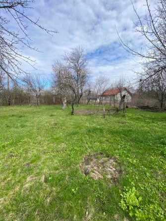 Затишна дачна ділянка з садом- ідеальне місце для відпочинку та врожаю - фото 1