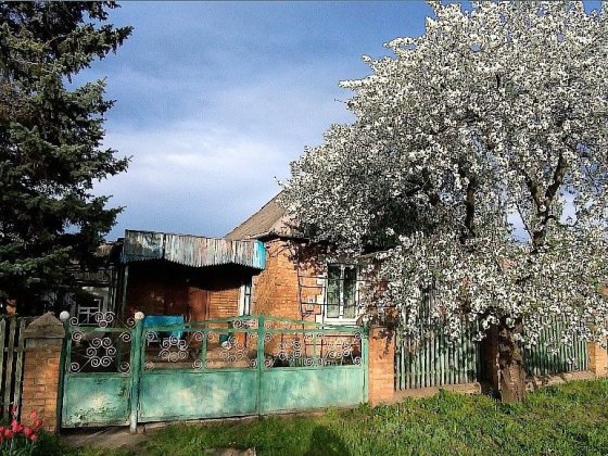 Продаю будинок центрально-міський р-н, вул. Тимошенка(Христини Сушко) Кривий Ріг