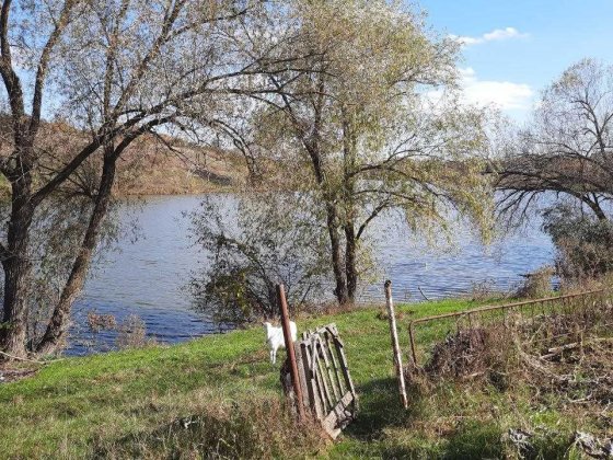 Продаж будинка біля Озера три кімнати 18 соток приватизованої землі Полтава