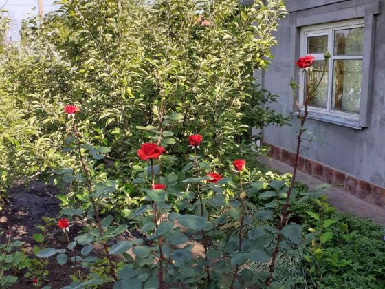 Продам дачу 6,7 соток на Мопре Кривий Ріг