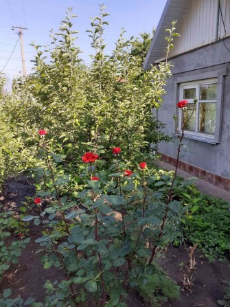 Продам дачу 6,7 соток на Мопре - фото 1