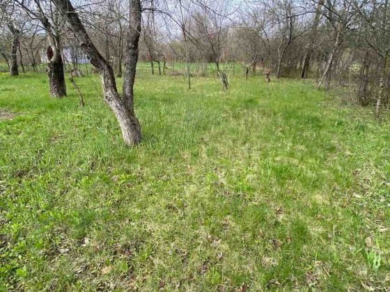 Продам дачу в мальовничому місці, 6 соток, рівна ділянка, садок Полтава