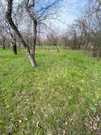 Продам дачу в мальовничому місці, 6 соток, рівна ділянка, садок - фото 1