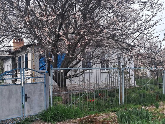 Продається будинок Кривой Рог