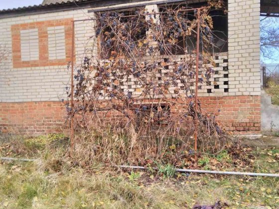 Продам дачу на Олдиші! НЕДОРОГО! Суми