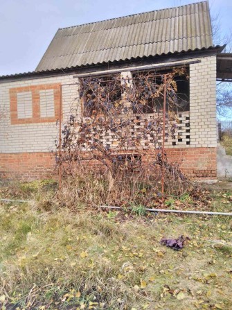 Продам дачу на Олдиші! НЕДОРОГО! - фото 1