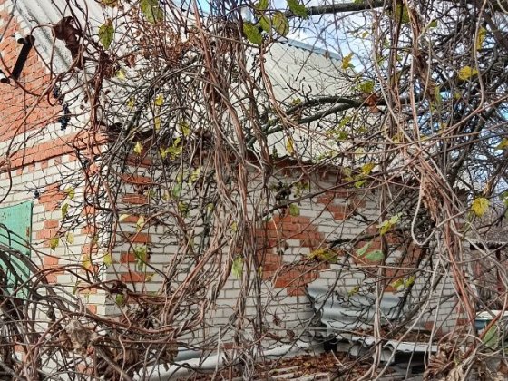 Продам дачу кооп Красносільський Суми