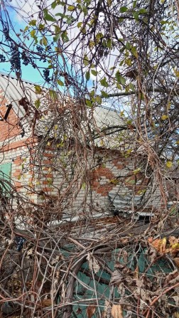 Продам дачу кооп Красносільський - фото 1