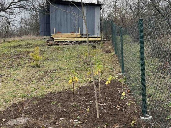 Продам дачу Семянівка( Кротенки). код 4222 Полтава