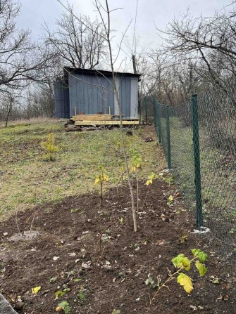 Продам дачу Семянівка( Кротенки). код 4222 - фото 1