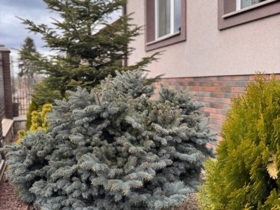 Продаж! Будинок в місті з міськими комунікаціями Чернівці