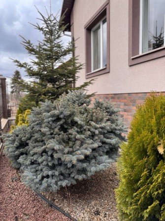 Продаж! Будинок в місті з міськими комунікаціями - фото 1