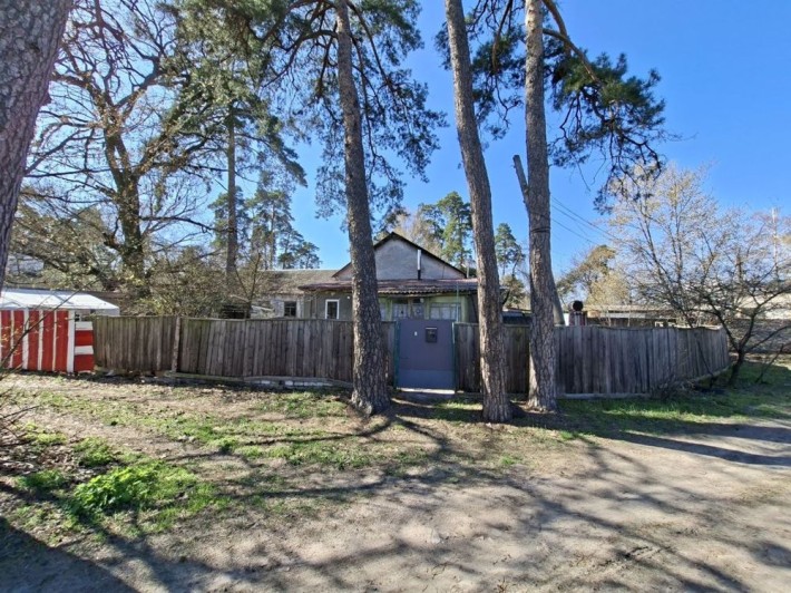 Земельна ділянка «Соснівка» - фото 1