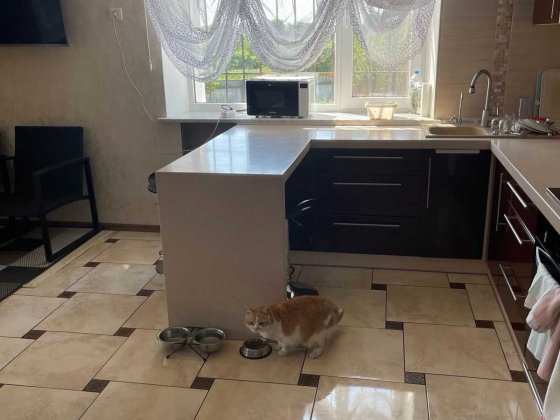 Затишний двоповерховий будинок  15хв до міста Полтава