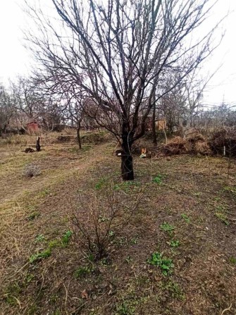 Продаж дачного будинка із земельною ділянкою в СТ « Енергетик» - фото 1