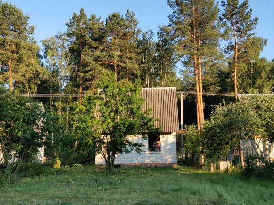 Дача садове товариство "Дяснянка" Чернігів