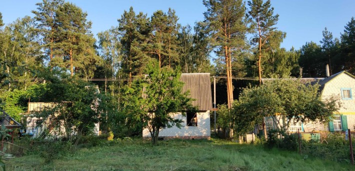 Дача садове товариство "Дяснянка" - фото 1