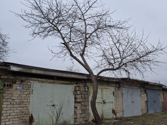 Сдам 2 гараже в кооперативе Север