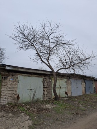 Сдам 2 гараже в кооперативе Север - фото 1