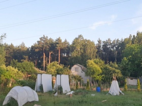 Продам дачу 15 соток в Чернигове ЗАЗ. ст Октябрьское Чернігів