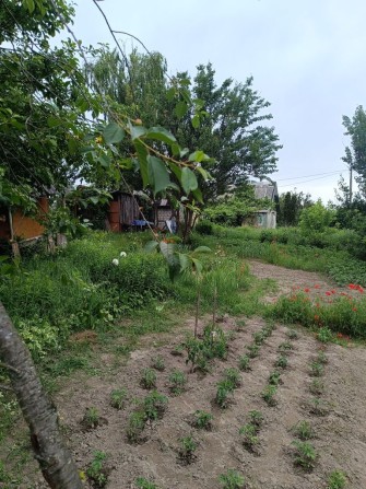 Продам дачу в с/т Ромашка вул. Михалевича - фото 1