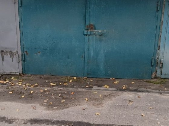 Гараж Ефимова Шатаруставели. Одесса