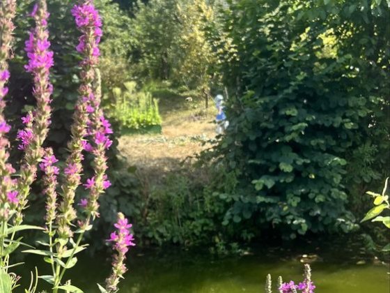 Будинок з власною копанкою Рибалка та природа Винница