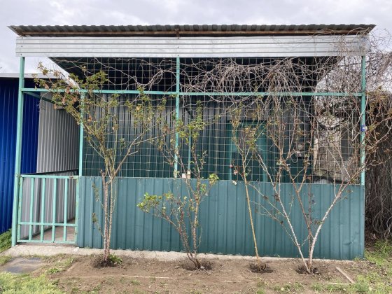 Бокс на причале 5/1 Запорожье