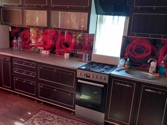 Продам дом в Шевченковском р-не, ул. Радионова (Новороссийская) Запорожье