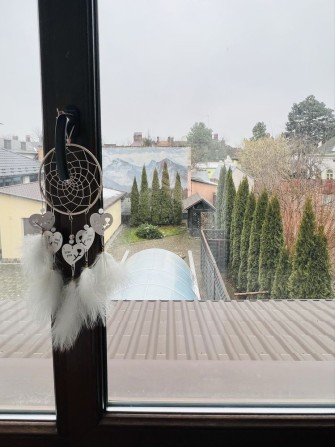 Продаж будинку, бічна Коновальця, поруч парк, є басейн, гараж - фото 1