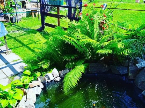 ПРОДАЕТСЯ ДОМ ЗАЕЗЖАЙ И ЖИВИ Запорожье