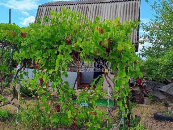 Продаж дачного будинка із земельною ділянкою на «Світанку« («Рассвет«). Харьков